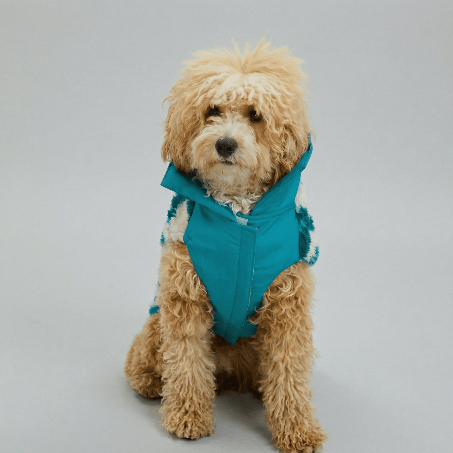TürkisTraum Fleece Mantel - Dulces Mascotas BCN