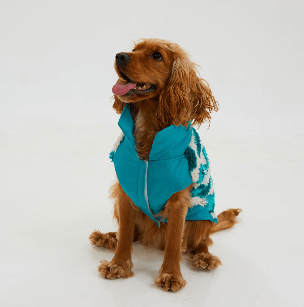 TürkisTraum Fleece Mantel - Dulces Mascotas BCN