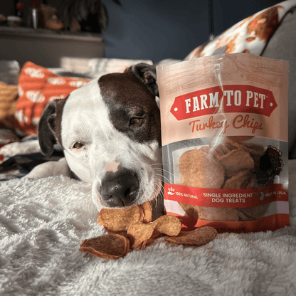 Turkey Chips para Perros | Snack Natural Monoproteína de Pavo - Dulces Mascotas BCN