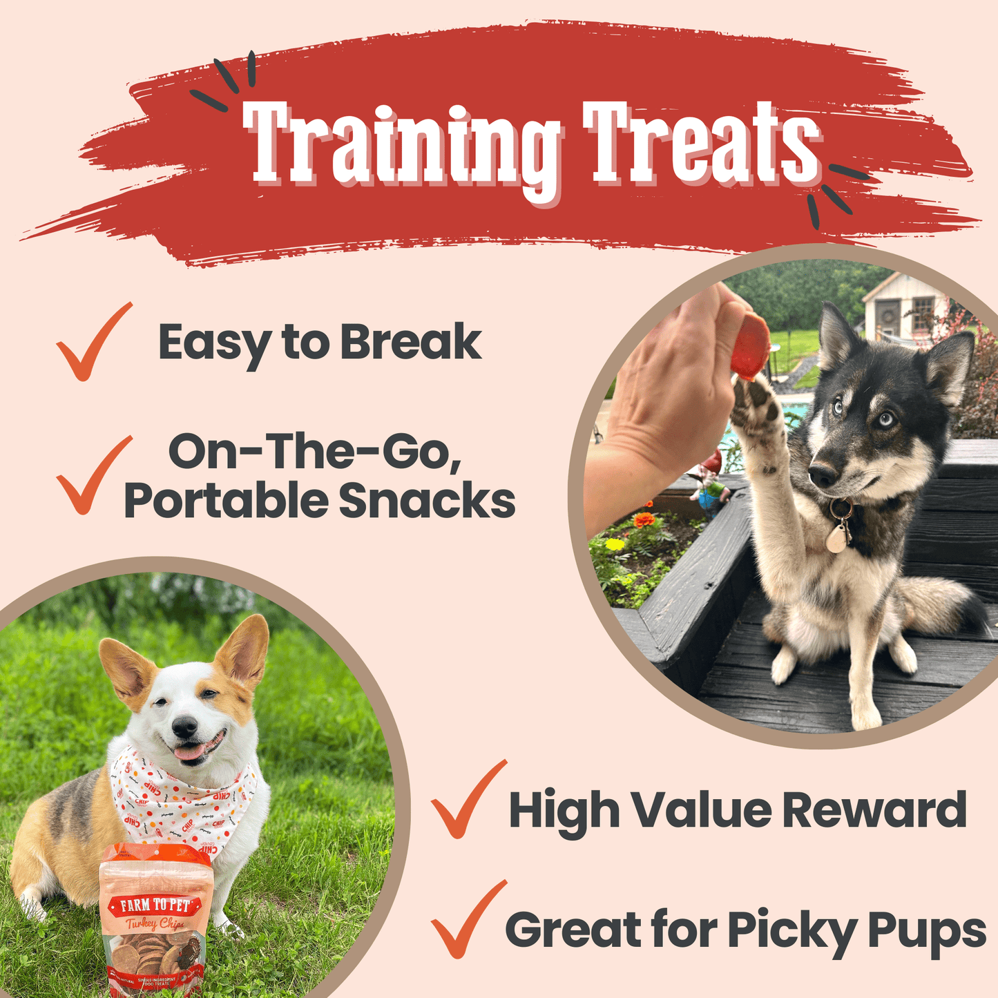 Turkey Chips para Perros | Snack Natural Monoproteína de Pavo - Dulces Mascotas BCN