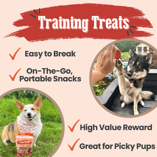 Turkey Chips para Perros | Snack Natural Monoproteína de Pavo - Dulces Mascotas BCN