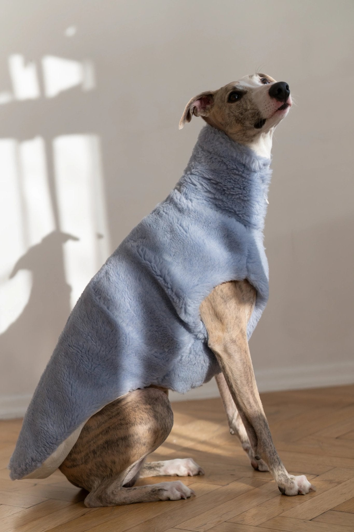 Woolen Dog Vest - Blue - Dulces Mascotas BCN
