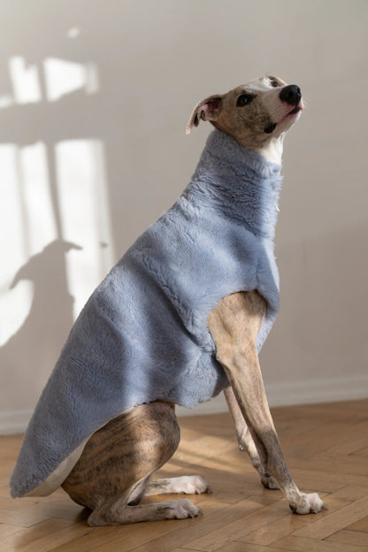 Woolen Dog Vest - Blue - Dulces Mascotas BCN