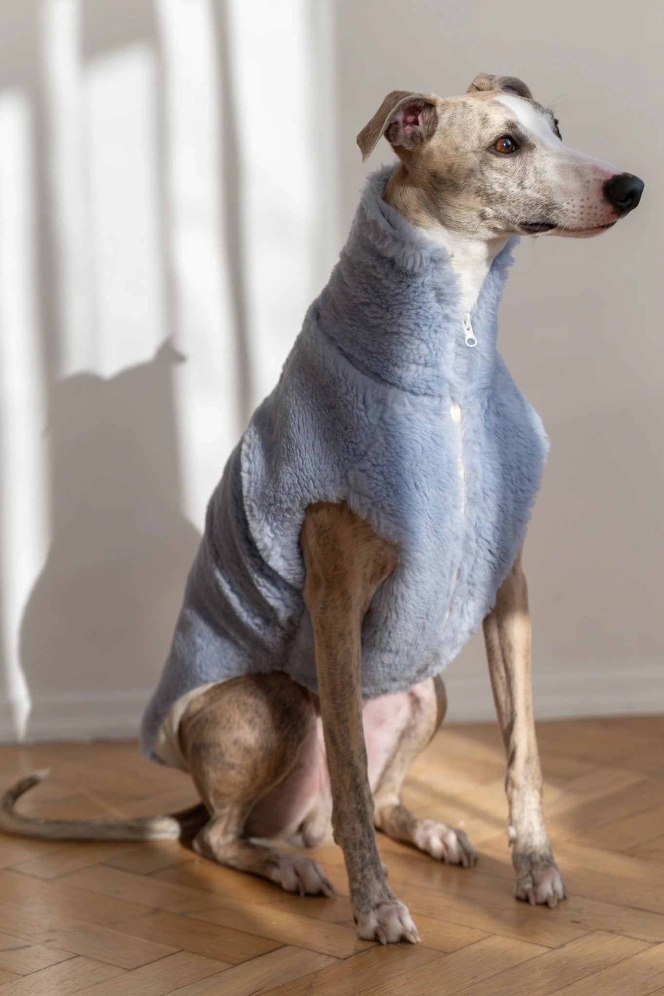 Woolen Dog Vest - Blue - Dulces Mascotas BCN