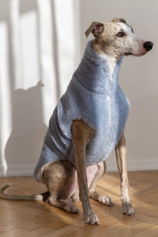 Woolen Dog Vest - Blue - Dulces Mascotas BCN