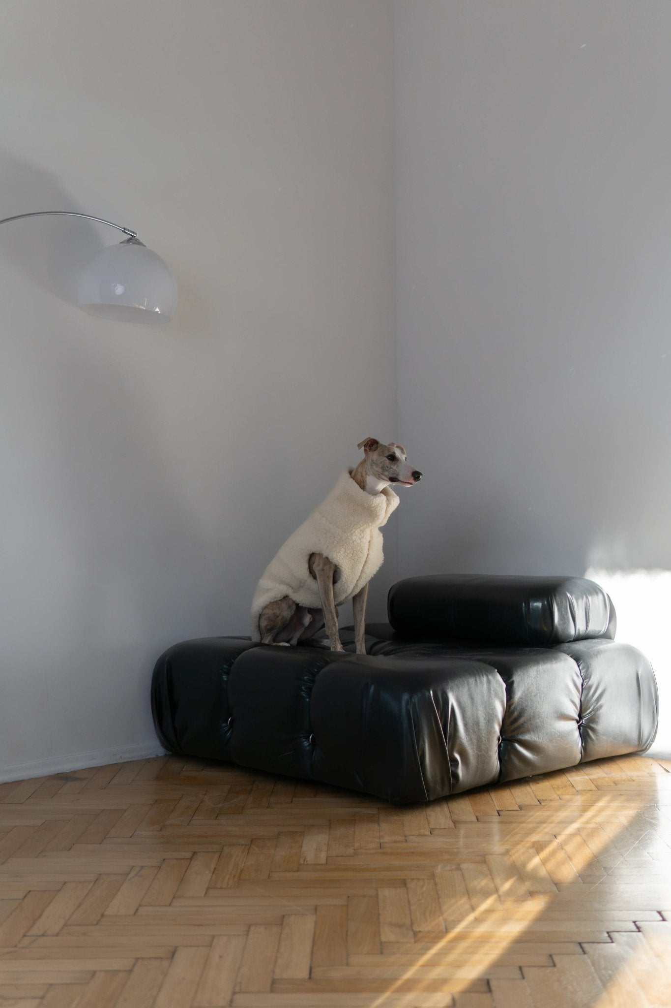 Woolen Dog Vest - Blue - Dulces Mascotas BCN