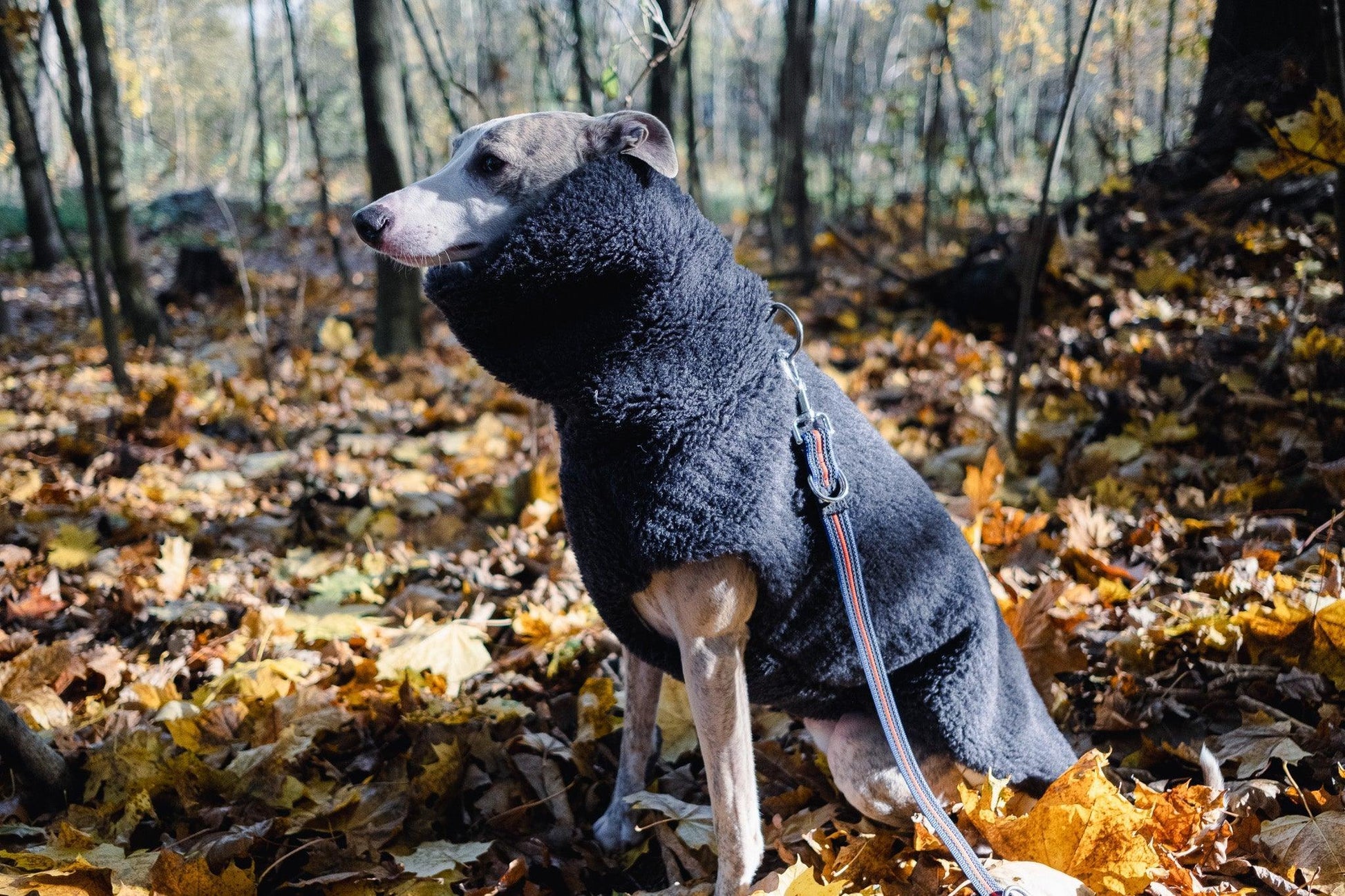 Woolen Dog Vest - Charcoal - Dulces Mascotas BCN