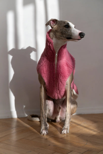 Woolen Dog Vest - Pink - Dulces Mascotas BCN