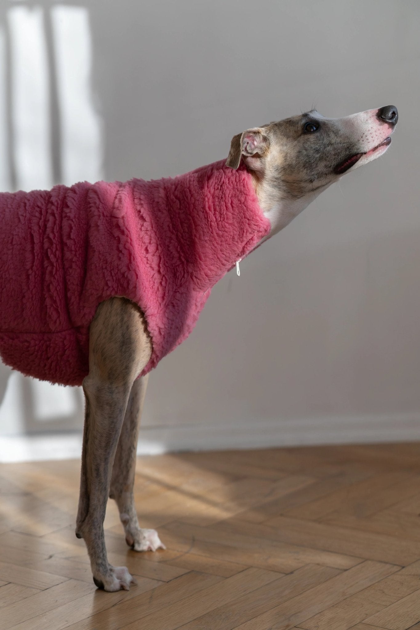 Woolen Dog Vest - Pink - Dulces Mascotas BCN